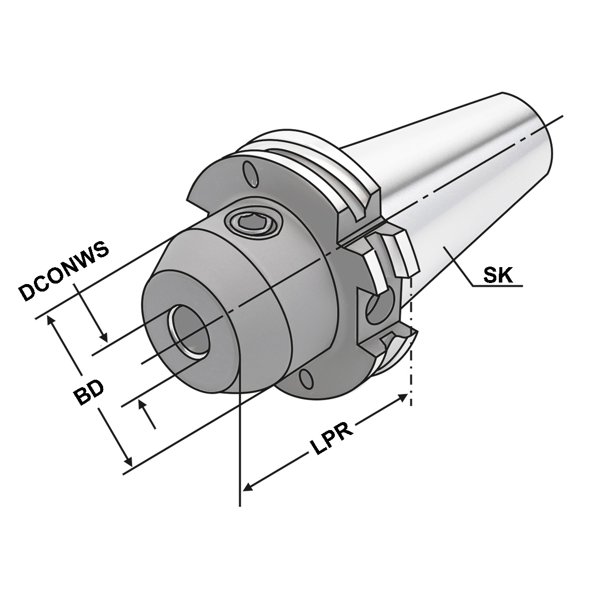 Fräseraufnahme SK 40-06-100 DIN 69871 AD